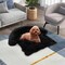 Plush Calming Dog Couch Bed with Removable and Washable Zipper Cover